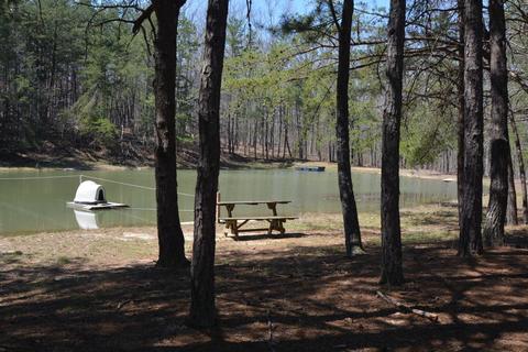 155 Cook Rd, Clarkrange, TN 38553 photo 30