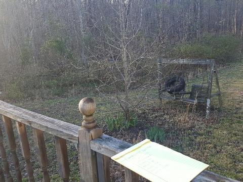 220 Andy Cooper Rd, Lancing, TN 37770 photo 8