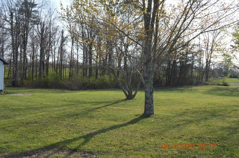 1046 Pine Rdg, Clarkrange, TN 38553 photo 29