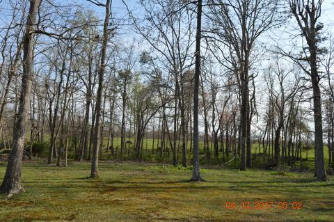 1046 Pine Rdg, Clarkrange, TN 38553 photo 25