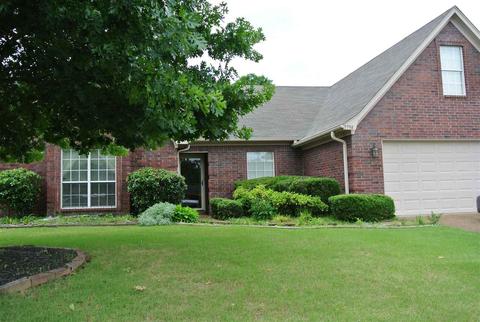 7798 Shadow Fork Ln, Arlington, TN 38002 photo 3