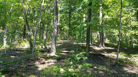 765 Timberline Loop, Savannah, TN 38372 photo 20