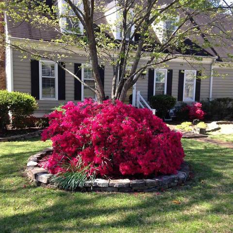 169 E Powell Rd, Collierville, TN 38017 photo 1