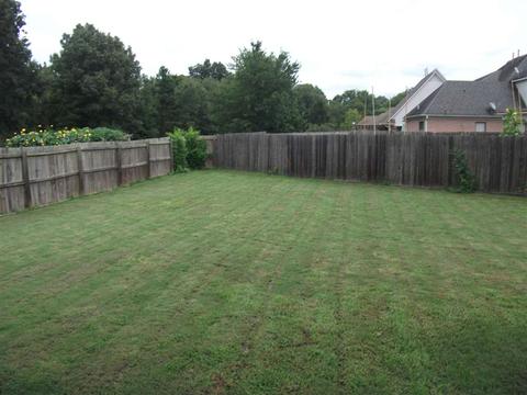 3612 Haynes Rd, Bartlett, TN 38133 photo 23