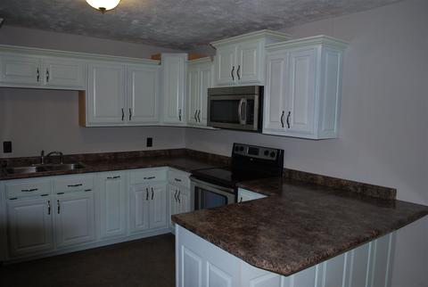 789 Davidson Rd, Drummonds, TN 38023 photo 2