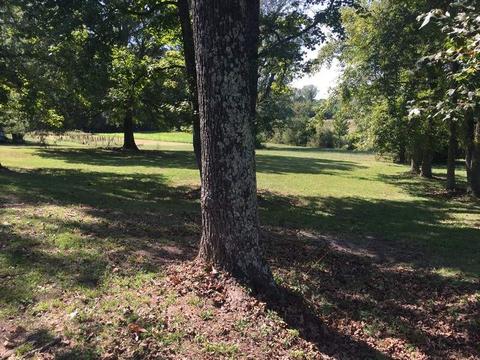 306 Ramer Selmer Rd, Ramer, TN 38367 photo 8