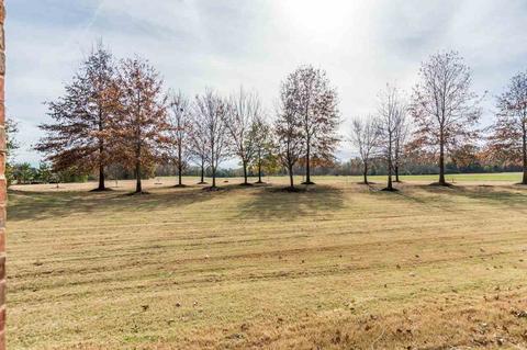 270 Windbrook Dr, Piperton, TN 38017 photo 25