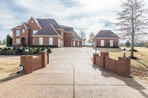 270 Windbrook Dr, Piperton, TN 38017 photo 1