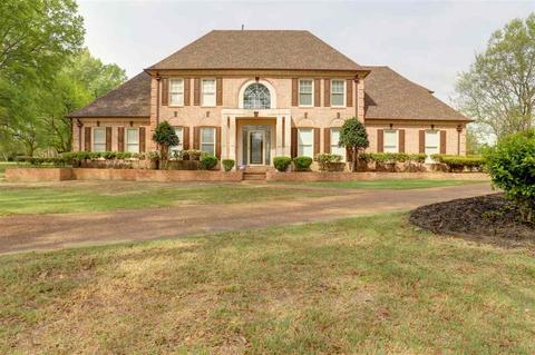 4709 Forest Trl, Collierville, TN 38017 photo 1