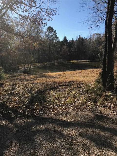 855 Good Springs Loop Rd, Williston, TN 38076 photo 12