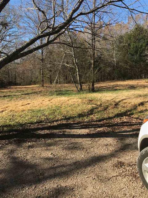 855 Good Springs Loop Rd, Williston, TN 38076 photo 13