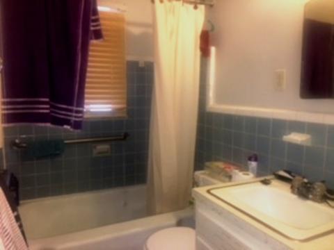 1217 Will Scarlet Rd, Memphis, TN 38111 photo 14