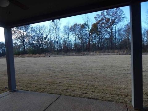 6084 Abigail Bluffs Dr, Bartlett, TN 38135 photo 19
