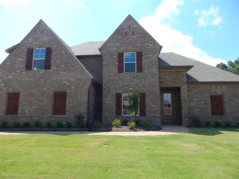 6084 Abigail Bluffs Dr, Bartlett, TN 38135 photo 1
