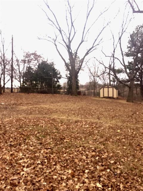 247 Bringle Rd, Covington, TN 38019 photo 6