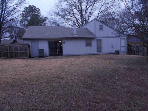 4320 Cloudburst Rd, Memphis, TN 38141 photo 24