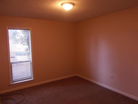4320 Cloudburst Rd, Memphis, TN 38141 photo 20