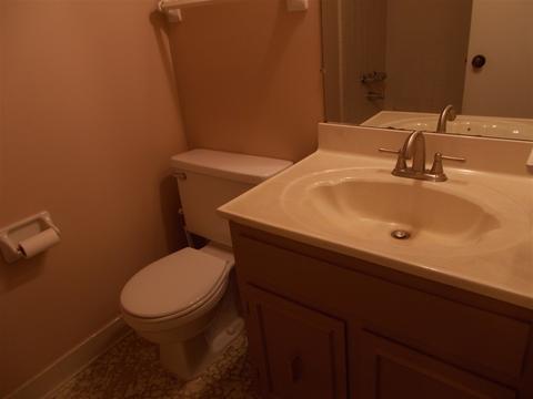 4320 Cloudburst Rd, Memphis, TN 38141 photo 13