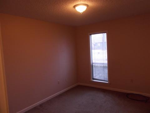 4320 Cloudburst Rd, Memphis, TN 38141 photo 19