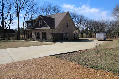 3073 Dolan Rd, Drummonds, TN 38023 photo 3