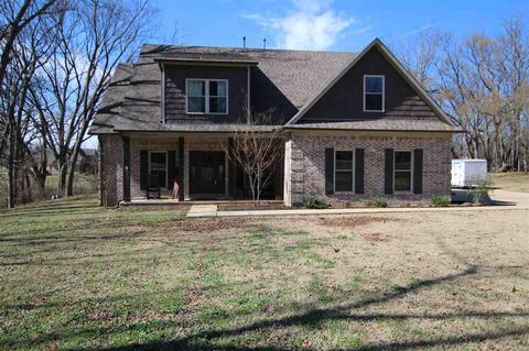 3073 Dolan Rd, Drummonds, TN 38023 photo 1