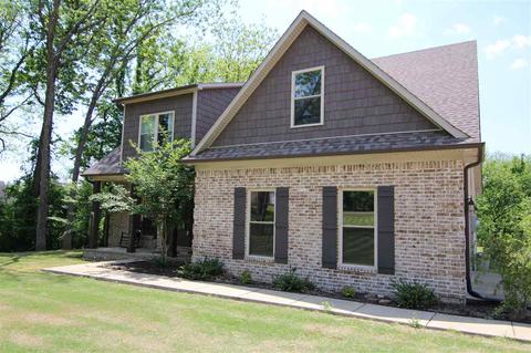 3073 Dolan Rd, Drummonds, TN 38023 photo 2
