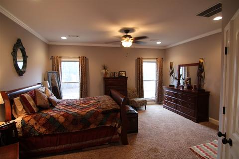 3073 Dolan Rd, Drummonds, TN 38023 photo 12