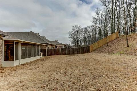 8203 Bartlett Gap Dr, Bartlett, TN 38133 photo 24