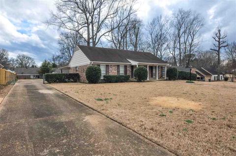 4785 Rolling Meadows Dr, Memphis, TN 38128 photo 3