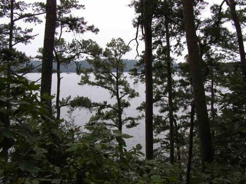 33 Smith Cir, Waterloo, AL 35677 photo 6