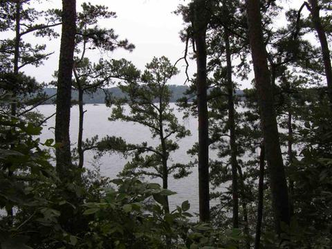 33 Smith Cir, Waterloo, AL 35677 photo 7