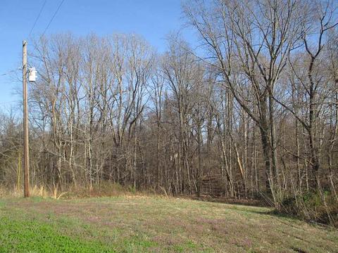 1750 Bringle Rd, Covington, TN 38019 photo 20
