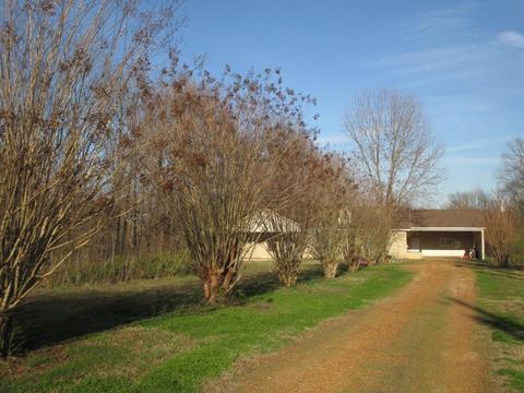 1750 Bringle Rd, Covington, TN 38019 photo 22