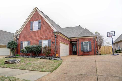 140 E Porter Run Dr, Collierville, TN 38017 photo 1