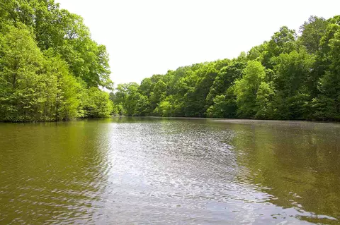 3135 Bluff Rd, Hernando, MS 38632 photo 2