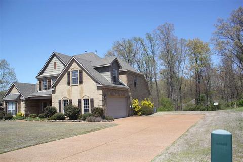 3376 Delaney Dr, Nesbit, MS 38651 photo 3