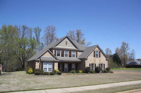 3376 Delaney Dr, Nesbit, MS 38651 photo 2