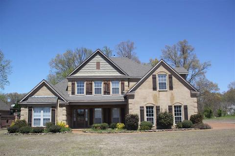 3376 Delaney Dr, Nesbit, MS 38651 photo 1