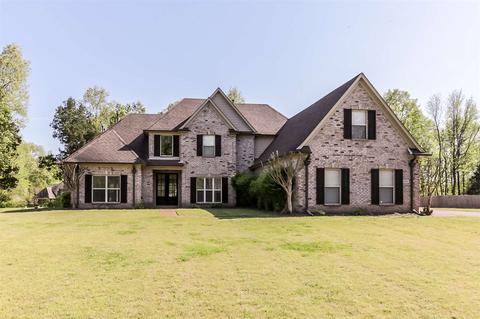 3271 Nikki Lakes Dr, Nesbit, MS 38651 photo 1