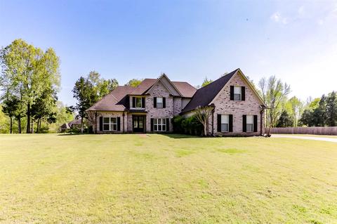 3271 Nikki Lakes Dr, Nesbit, MS 38651 photo 2