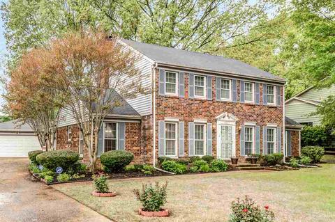 3237 Ancroft Cv, Memphis, TN 38128 photo 1
