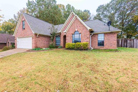 4699 Shadow Wick Ln, Arlington, TN 38002 photo 2