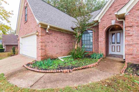 4699 Shadow Wick Ln, Arlington, TN 38002 photo 3