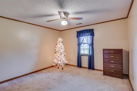 99 Holly Brooke Cv, Covington, TN 38019 photo 20