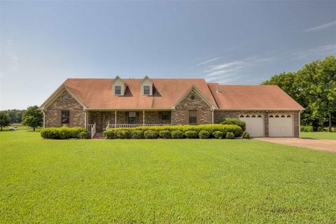 99 Holly Brooke Cv, Covington, TN 38019 photo 1