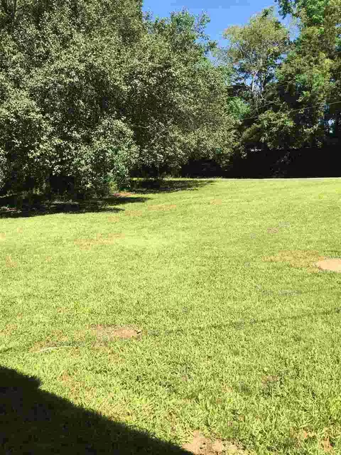 14 County Road 303 Rd, Corinth, MS 38834 photo 13