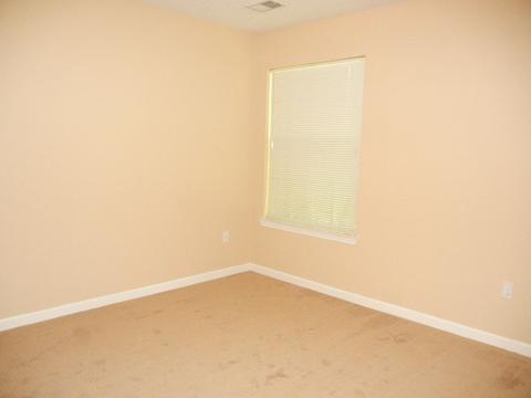 4817 Springtree Dr, Arlington, TN 38002 photo 17