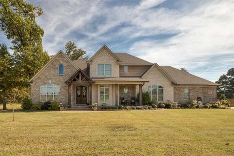 384 Leta Loop, Brighton, TN 38011 photo 1