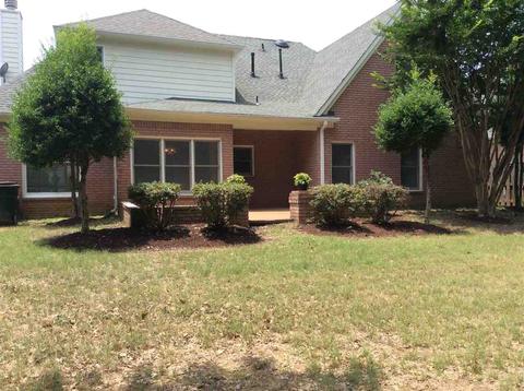 650 Warwick Oaks Ln E, Collierville, TN 38017 photo 23