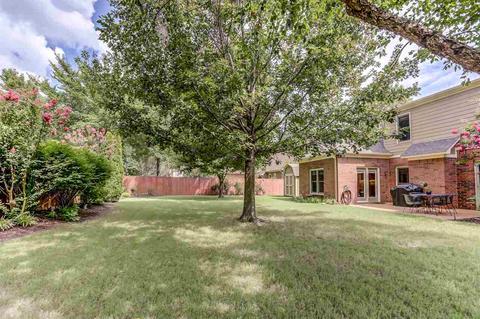 481 Canal Loop Turn Dr, Collierville, TN 38017 photo 24